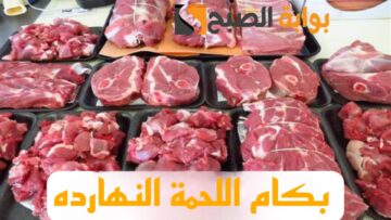 “بكام اللحمة ياعم”.. تعرف على اسعار اللحوم اليوم الاحد 11 فبراير 2024