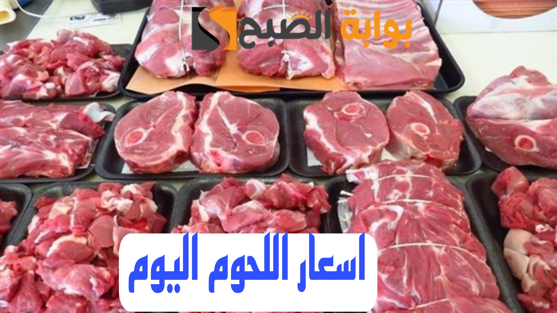 "بكام اللحمة النهارده" أسعار اللحوم اليوم الأحد الموافق 11 فبراير 2024 في مصر 6 “بكام اللحمة النهارده” أسعار اللحوم اليوم الأحد الموافق 11 فبراير 2024 في مصر