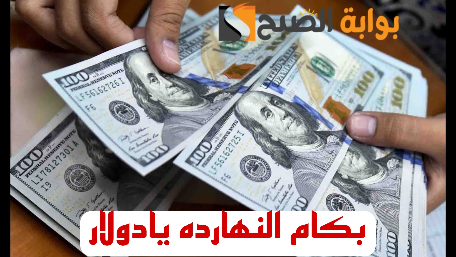“بكام النهارده يا دولار”.. تعرف على اسعار الدولار اليوم الاربعاء 14 فبراير 2024 في مختلف البنوك..!!