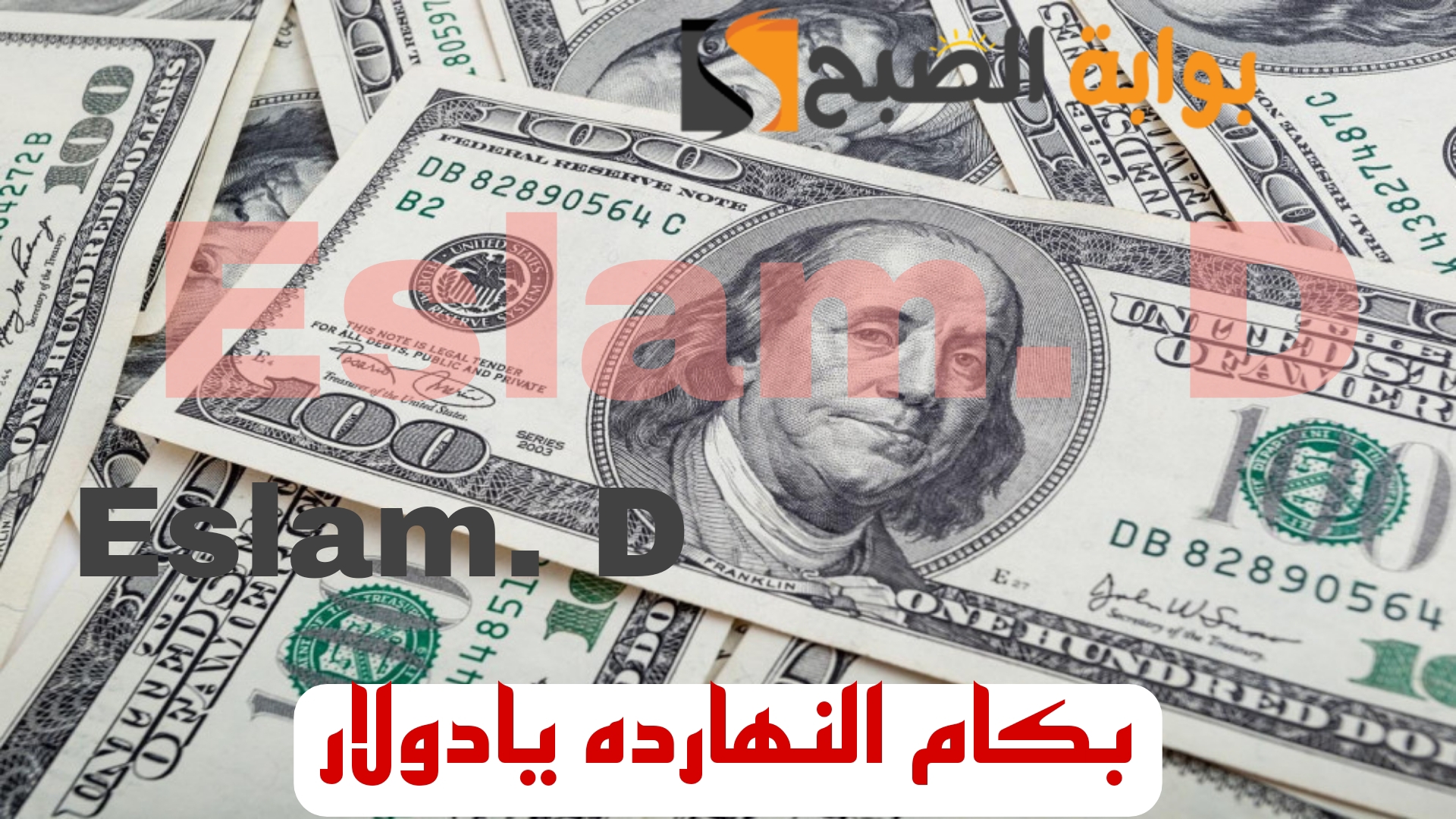 “بكام يا أخضر النهاردة”.. تعرف على سعر الدولار اليوم السبت 17 فبراير 2024