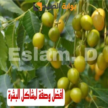 اعملي احلى كريم للتخلص من حب الشباب والحصول على بشرة بيضاء .. اصنعي كريم عشبة النيم..!!