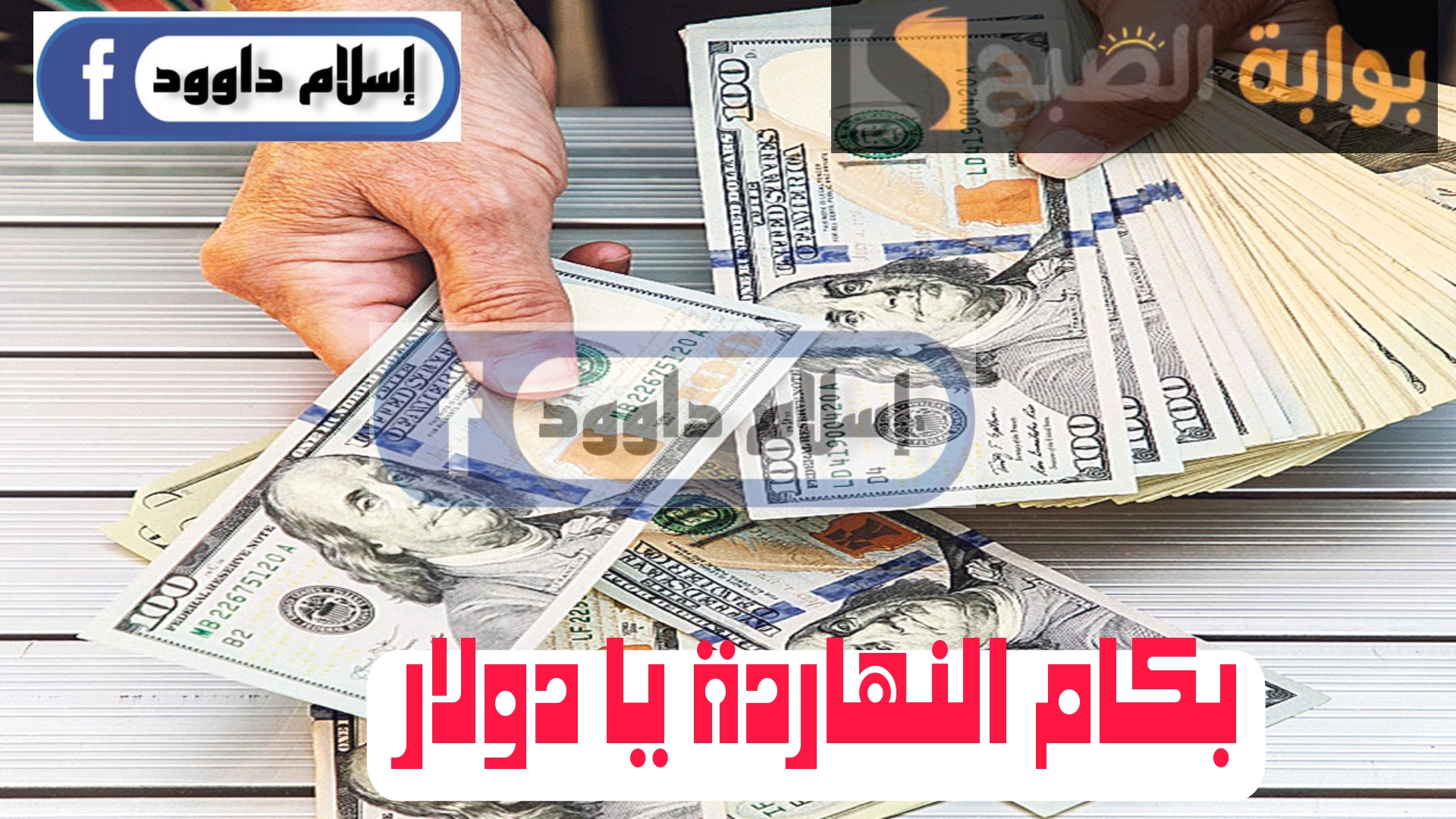 ”الدولار عامل كام النهاردة".. تعرف على أسعار الدولار اليوم الإثنين 19 فبراير 2024 في مختلف البنوك 5 ”الدولار عامل كام النهاردة”.. تعرف على أسعار الدولار اليوم الإثنين 19 فبراير 2024 في مختلف البنوك