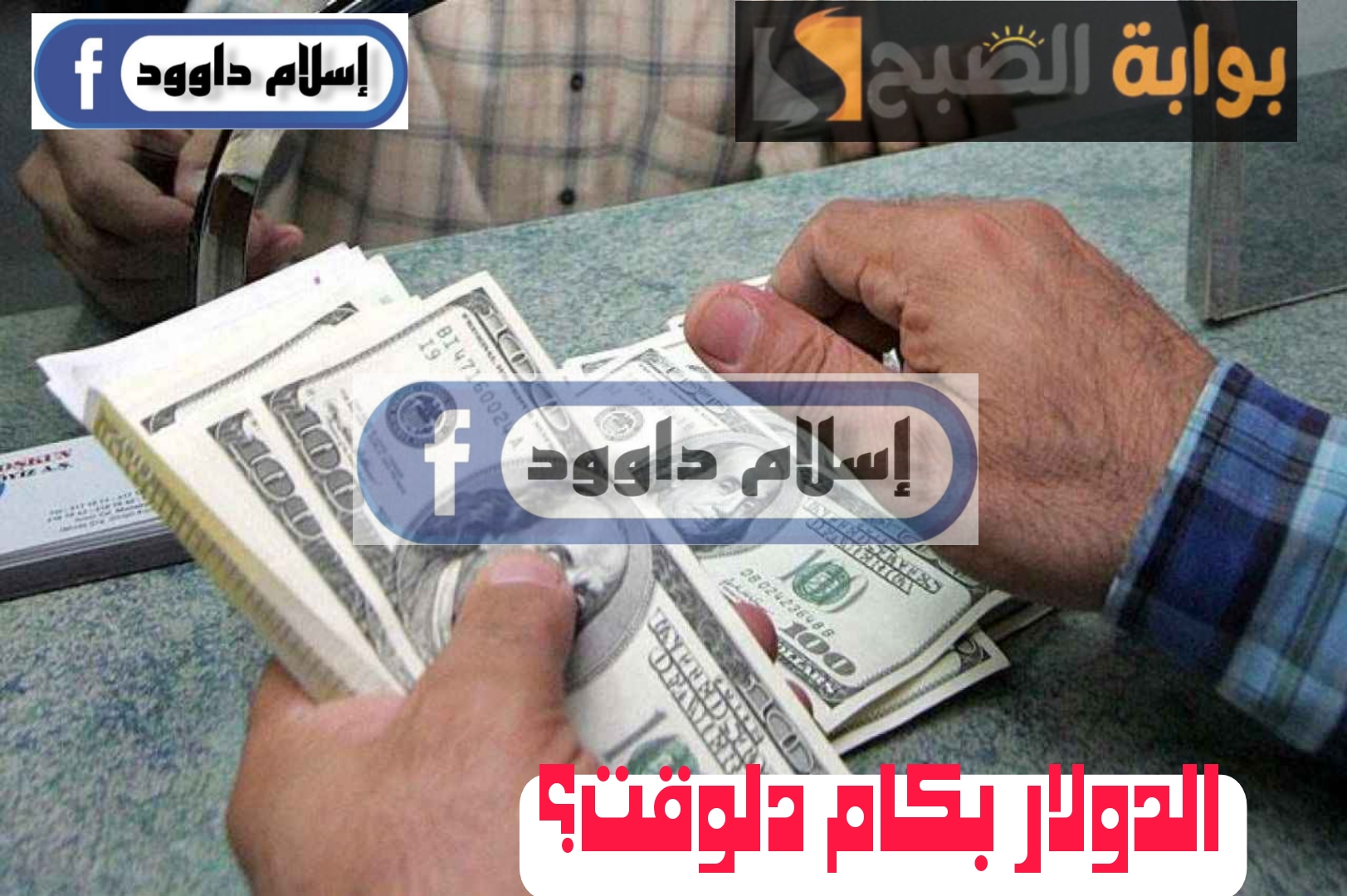 ”الدولار بكام دلوقتي“.. تعرف على سعر الدولار اليوم الثلاثاء 20 فبراير 2024 5 ”الدولار بكام دلوقتي“.. تعرف على سعر الدولار اليوم الثلاثاء 20 فبراير 2024