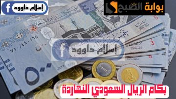 ”الريال بكام“.. تعرف على أسعار الريال السعودي أمام الجنيه المصري اليوم الثلاثاء 27 فبراير في مختلف البنوك