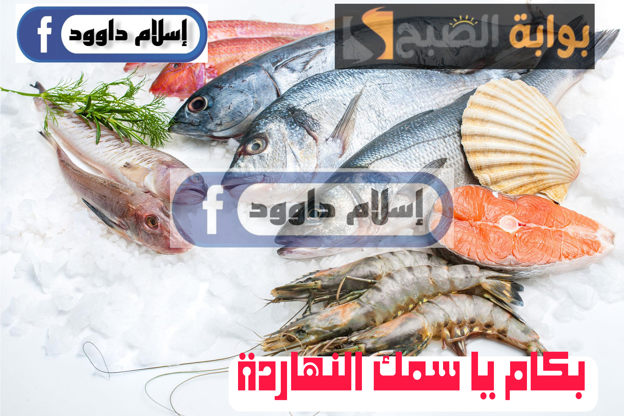 ”بكام يا سمك النهاردة“.. إليكم كل جديد اليوم في سعر الأسماك في الأسواق المصرية الثلاثاء 20 فبراير 2024 6 ”بكام يا سمك النهاردة“.. إليكم كل جديد اليوم في سعر الأسماك في الأسواق المصرية الثلاثاء 20 فبراير 2024