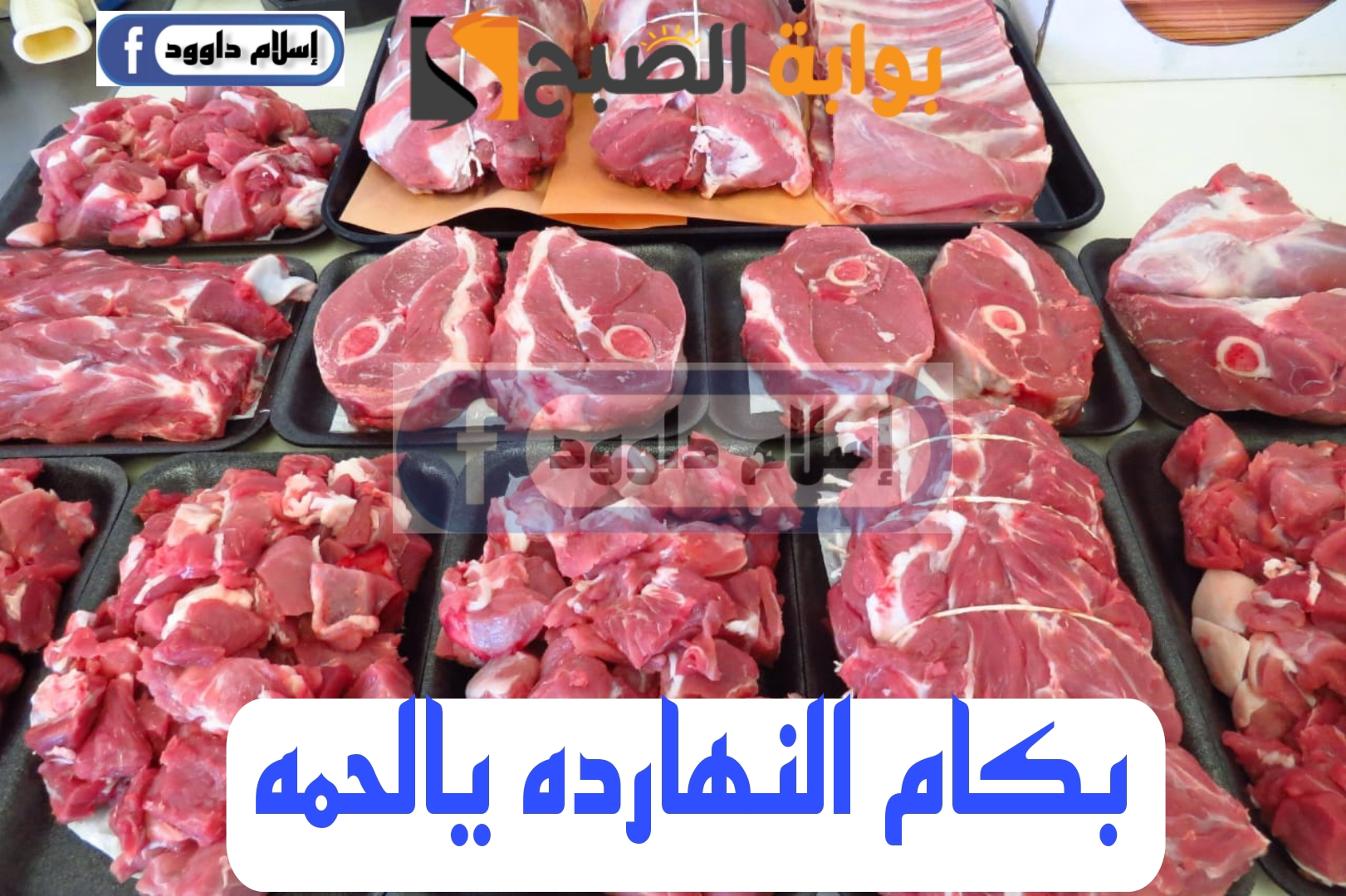 "اللحمة بكام ياعم".. تعرف على أسعار اللحوم في الأسواق اليوم الثلاثاء 5 “اللحمة بكام ياعم”.. تعرف على أسعار اللحوم في الأسواق اليوم الثلاثاء