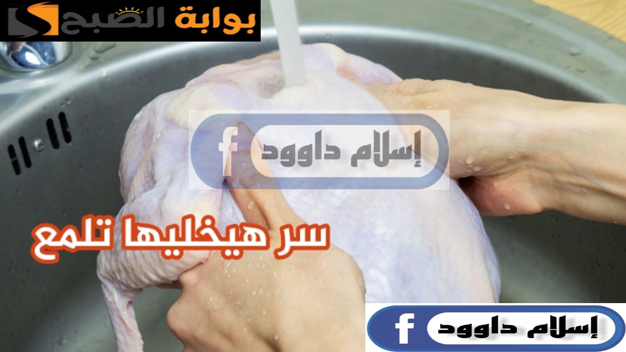 سر قالي عليه الفرارجي.. الطريقة المثالية لتنظيف البط والفراخ في البيت