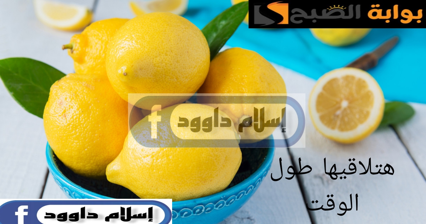 خزنيها من السنة للسنة.. أسرار طريقة تخزين الليمون في المنزل
