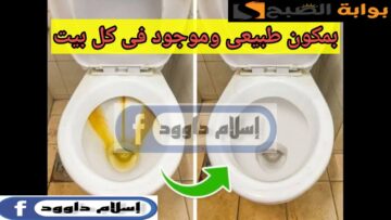 حيلة متخطرش علي البال.. جربي تنظفى قاعدة الحمام بيها