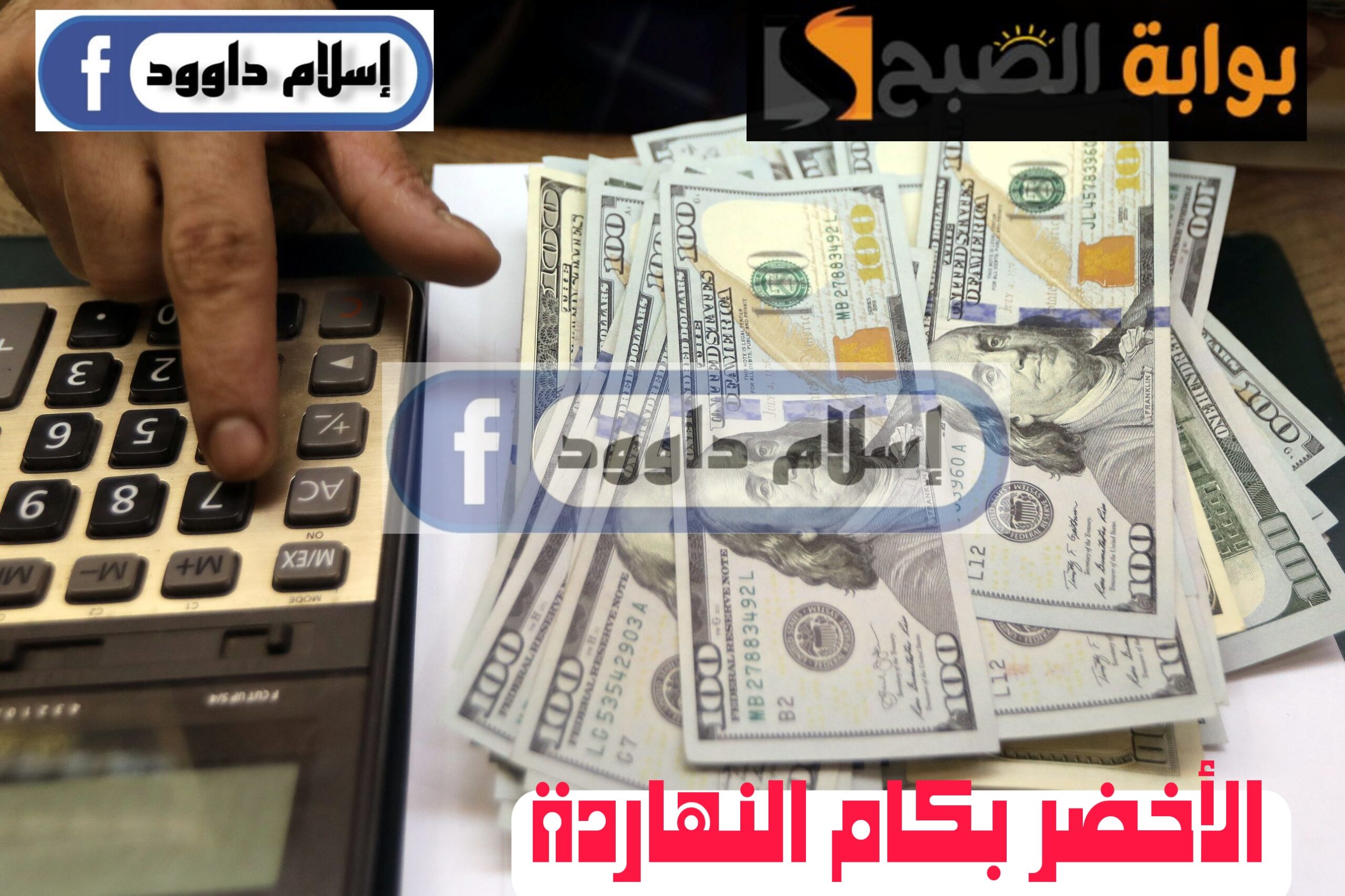 ”الدولار بكام“.. تعرف على أسعار الدولار اليوم الأحد 25 فبراير 2024 في البنوك 5 ”الدولار بكام“.. تعرف على أسعار الدولار اليوم الأحد 25 فبراير 2024 في البنوك