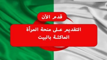 anem.dz رابط التسجيل في منحة المرأة الماكثة في البيت 2024 الشروط المطلوبة للحصول علي المنحة 800 دينار جزائري