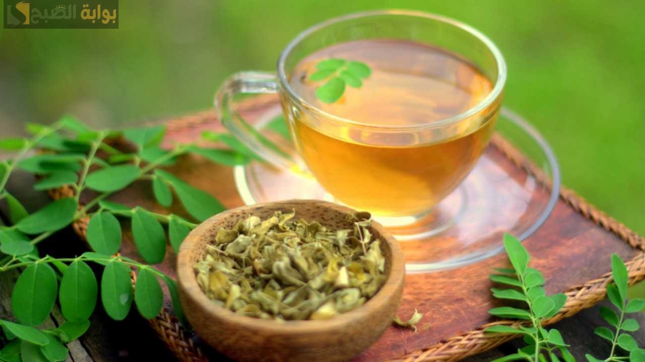 عودك هيبقى تحفة فنية.. تخلصي من وزنك الزائد بسرعة خيالية من خلال هذا المشروب السحري 5 عودك هيبقى تحفة فنية.. تخلصي من وزنك الزائد بسرعة خيالية من خلال هذا المشروب السحري