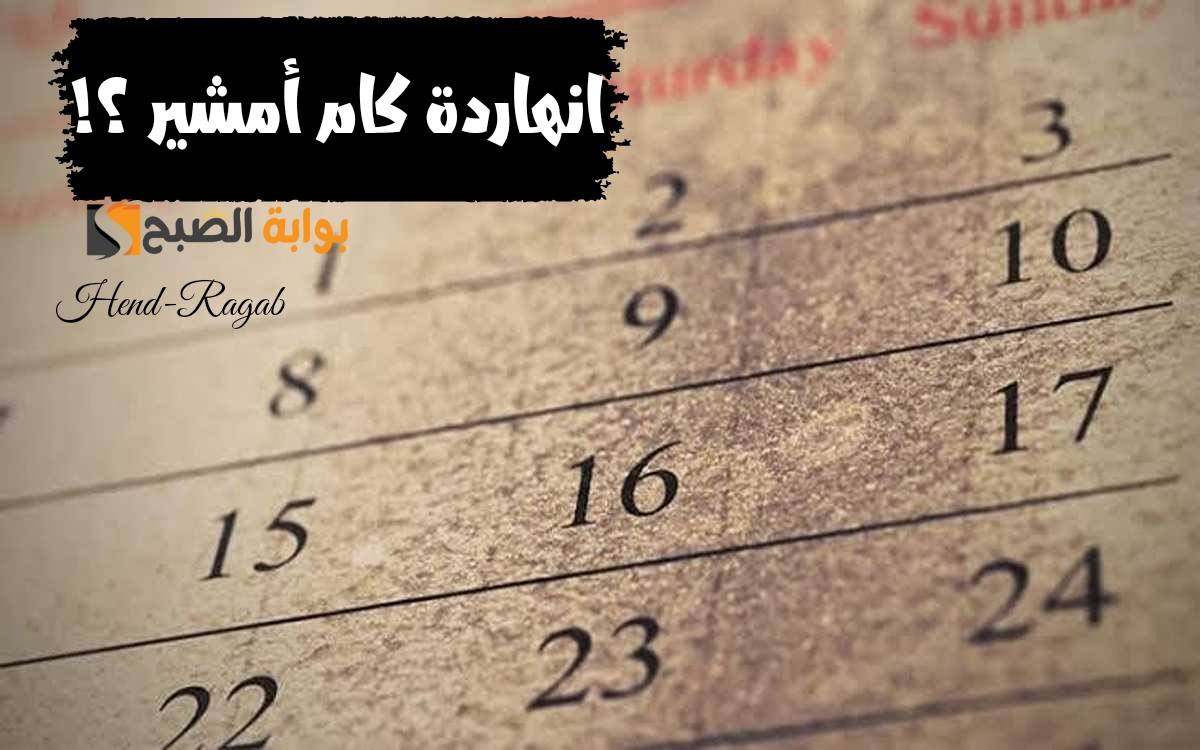 "انهاردة كام أمشير؟!".. إليك ورقة نتيجة اليوم الأحد 25-2-2024 وعدد الأيام المتبقية من أبو الزعابيب 5 “انهاردة كام أمشير؟!”.. إليك ورقة نتيجة اليوم الأحد 25-2-2024 وعدد الأيام المتبقية من أبو الزعابيب