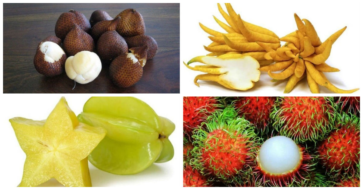 أغرب أنواع الفاكهة حول العالم تعرف عليها منها الموز الأحمر 6 أغرب أنواع الفاكهة حول العالم تعرف عليها منها الموز الأحمر