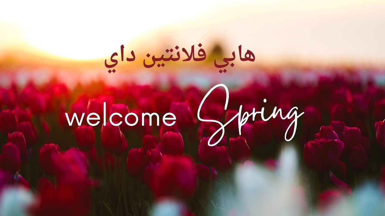 "HaPpy Valentine's Day" تصميم بطاقات تهنئة عيد الحب اضف اسمك وصورتك مع من تحب وأرسلها مجانا.. أجمل كلمات الحب الرقيقة 5 “HaPpy Valentine’s Day” تصميم بطاقات تهنئة عيد الحب اضف اسمك وصورتك مع من تحب وأرسلها مجانا.. أجمل كلمات الحب الرقيقة