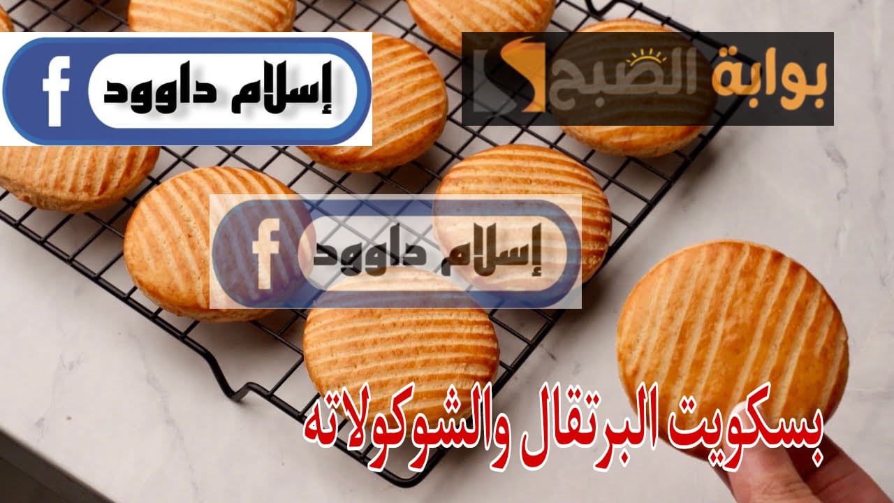 طعمها خرافي.. خمس دقايق بس من وقتك لتحضير أصابع البسكويت بنكهة البرتقال والشوكولاتة بدون بيض 5 طعمها خرافي.. خمس دقايق بس من وقتك لتحضير أصابع البسكويت بنكهة البرتقال والشوكولاتة بدون بيض