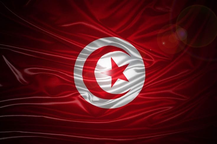 الآن.. رابط التسجيل على منحة الـ 300 دينار بتونس 2024 eservices.social.gov.tn