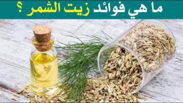 طريقة عمل زيت الشمر بالمنزل وفوائده لاستخدامه للبشرة والشعر