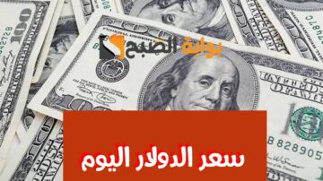 وصل كام الأخضر.. «سعر الدولار» اليوم الأحد 4 فبراير 2024 في البنوك المصرية