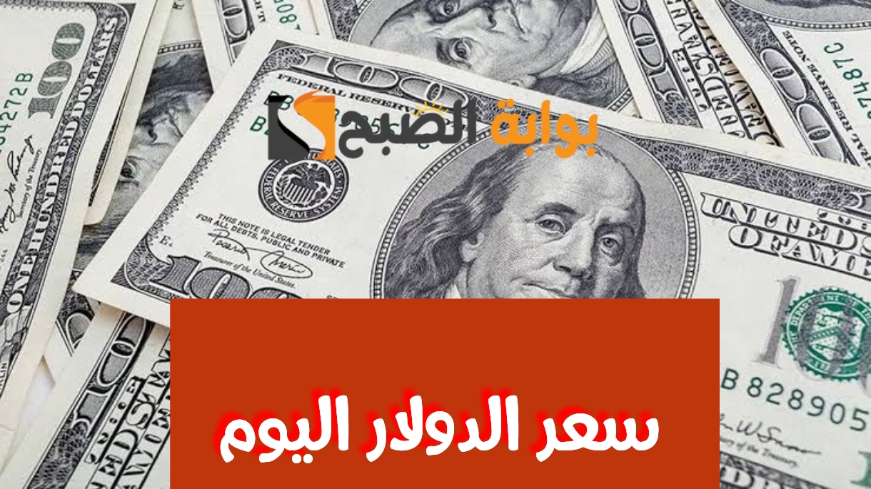 وصل كام الأخضر.. «سعر الدولار» اليوم الأحد 4 فبراير 2024 في البنوك المصرية