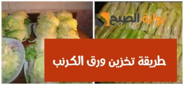 طريقة تخزين ورق الكرنب في الفريزر.. جهزي سفرتك بأطيب وأحلى محشي