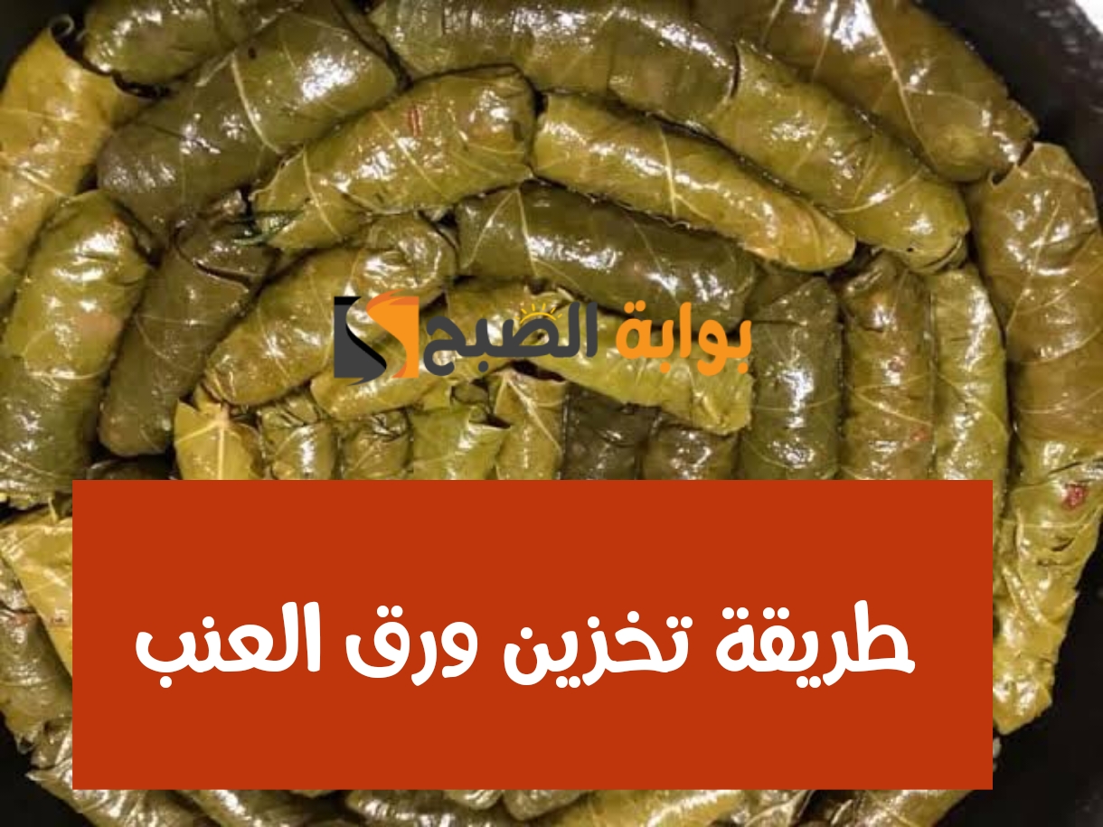 زيني سفرتك بأشهى المحاشي.. طريقة تخزين ورق العنب في الفريزر بدون ما يتغير طعمه