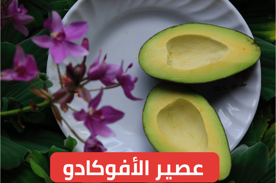 صحي وهيوفر عليك فلوس كتير.. مقادير وطريقة عمل عصير الأفوكادو في المنزل 5 صحي وهيوفر عليك فلوس كتير.. مقادير وطريقة عمل عصير الأفوكادو في المنزل