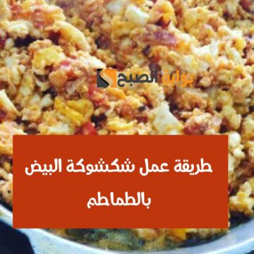 طريقة عمل الشكشوكة بالبيض والطماطم أكلة اقتصادية وموفرة وسهلة التحضير