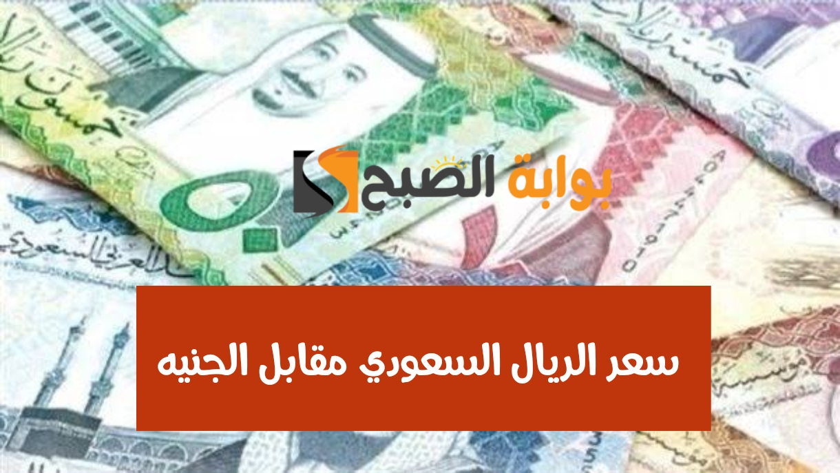 وصل كام النهاردة؟.. سعر الريال السعودي مقابل الجنيه اليوم الأربعاء 7 فبراير 2024