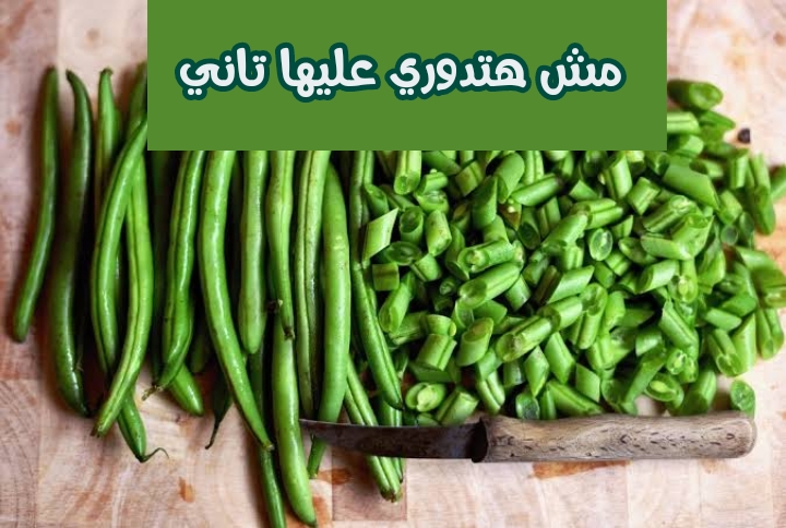 هتحتاجيها في رمضان.. طريقة تخزين الفاصوليا بكميات كبيرة لاطول فترة..!! 5 هتحتاجيها في رمضان.. طريقة تخزين الفاصوليا بكميات كبيرة لاطول فترة..!!