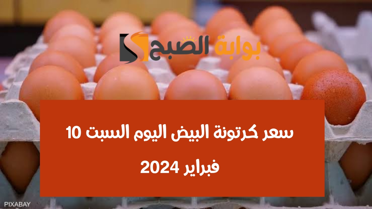 بكام البيضة النهاردة.. كم يبلغ سعر كرتونة البيض اليوم السبت 10 فبراير 2024 في الأسواق والبورصة 5 بكام البيضة النهاردة.. كم يبلغ سعر كرتونة البيض اليوم السبت 10 فبراير 2024 في الأسواق والبورصة