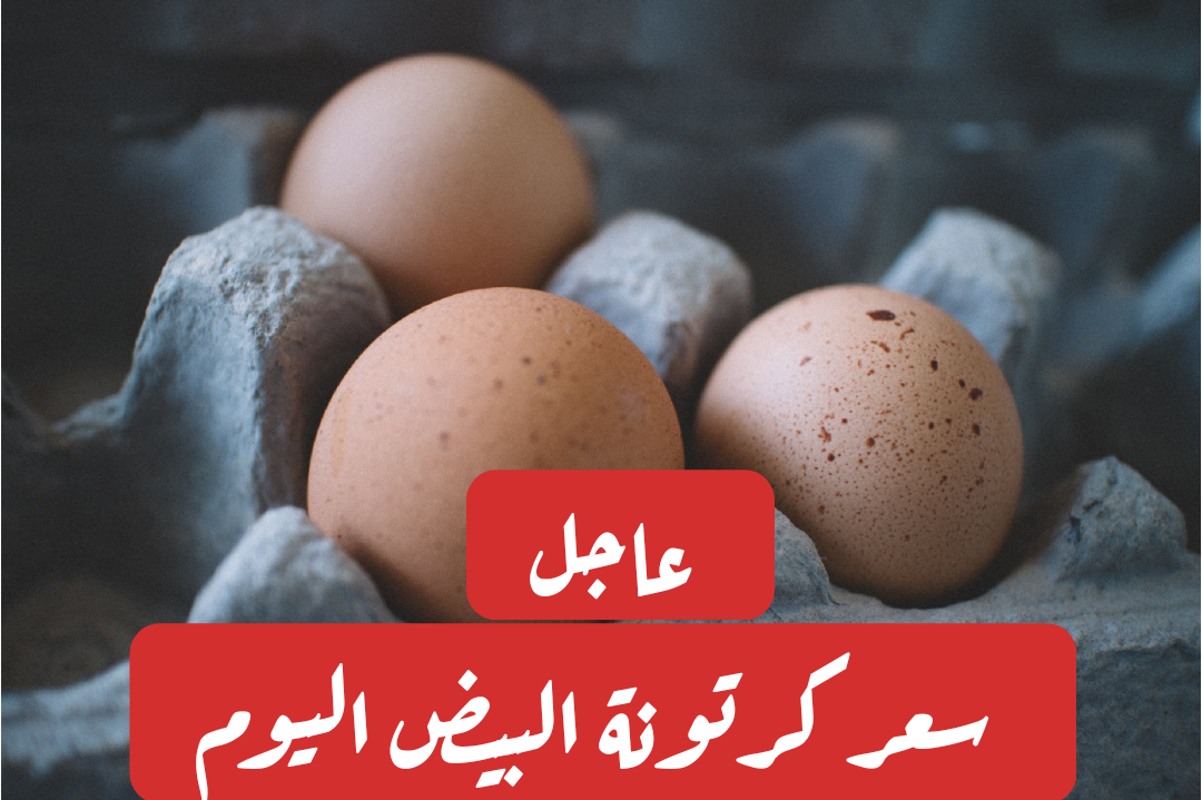 بكام البيضة الحمراء.. سعر كرتونة البيض اليوم الإثنين 12 فبراير 2024 في البورصة المصرية