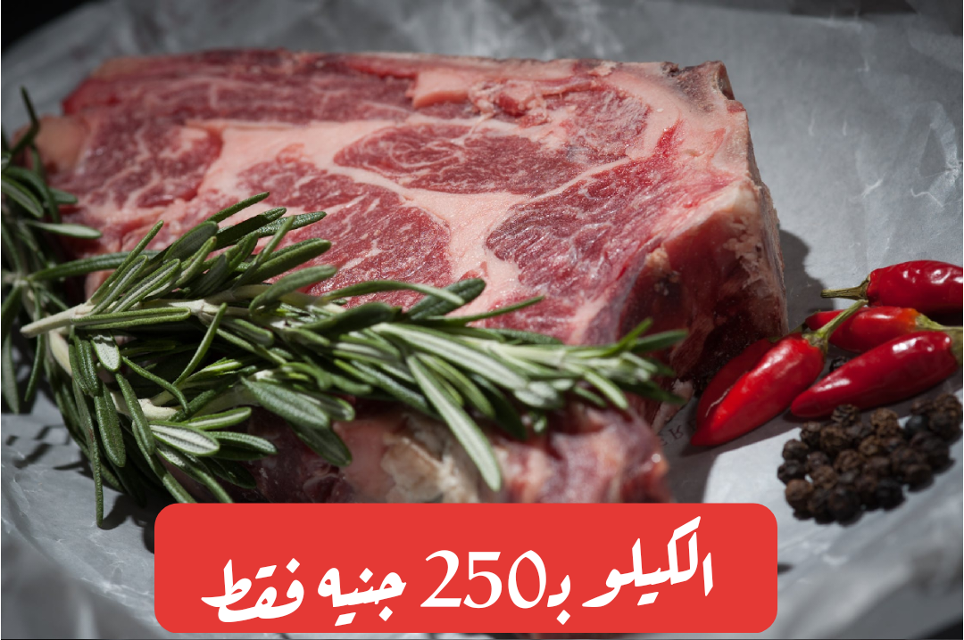 بمناسبة شهر رمضان.. وزارة الزراعة تنشأ منافذ لبيع اللحوم بأسعار مخفضة جداً اليوم 13-2-2024 5 بمناسبة شهر رمضان.. وزارة الزراعة تنشأ منافذ لبيع اللحوم بأسعار مخفضة جداً اليوم 13-2-2024