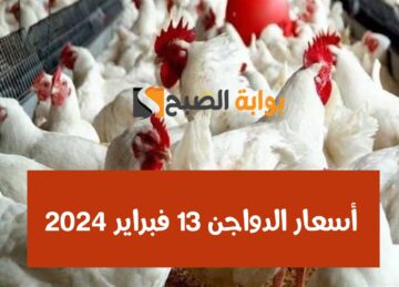 بمناسبة شهر رمضان.. مفاجأة في أسعار الفراخ الثلاثاء 13 فبراير 2024.. وهذا ثمن كرتونة البيض