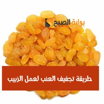 مش هتشتريه جاهز تاني… طريقة تجفيف العنب لعمل الزبيب في البيت أسهل وأطعم من الجاهز
