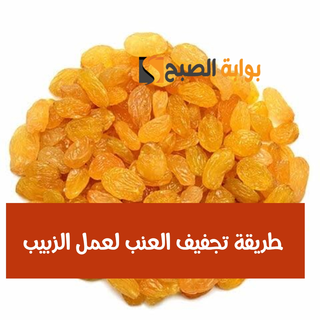 مش هتشتريه جاهز تاني... طريقة تجفيف العنب لعمل الزبيب في البيت أسهل وأطعم من الجاهز 5 مش هتشتريه جاهز تاني… طريقة تجفيف العنب لعمل الزبيب في البيت أسهل وأطعم من الجاهز