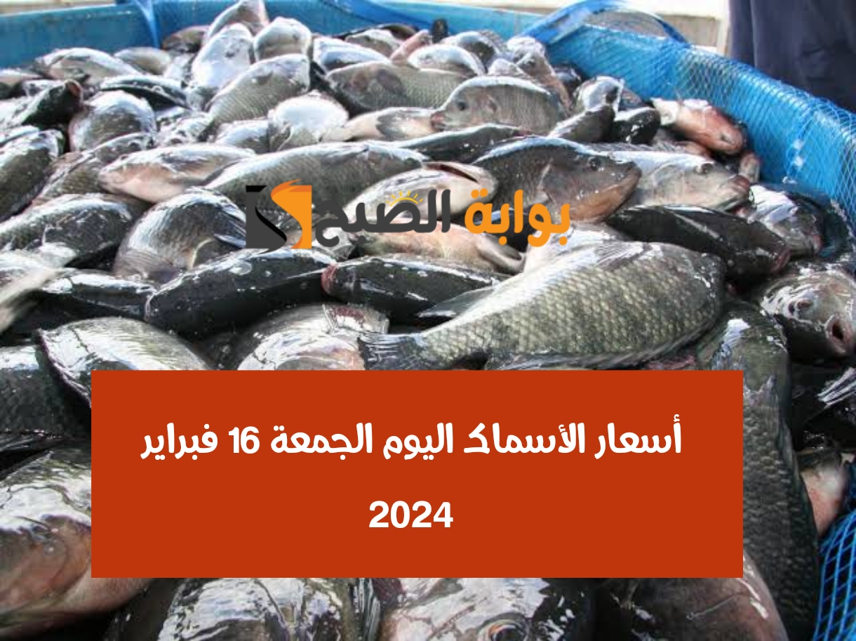 بحري يا بحري.. أسعار الأسماك اليوم الجمعة 16 فبراير 2024 في سوق العبور 5 بحري يا بحري.. أسعار الأسماك اليوم الجمعة 16 فبراير 2024 في سوق العبور