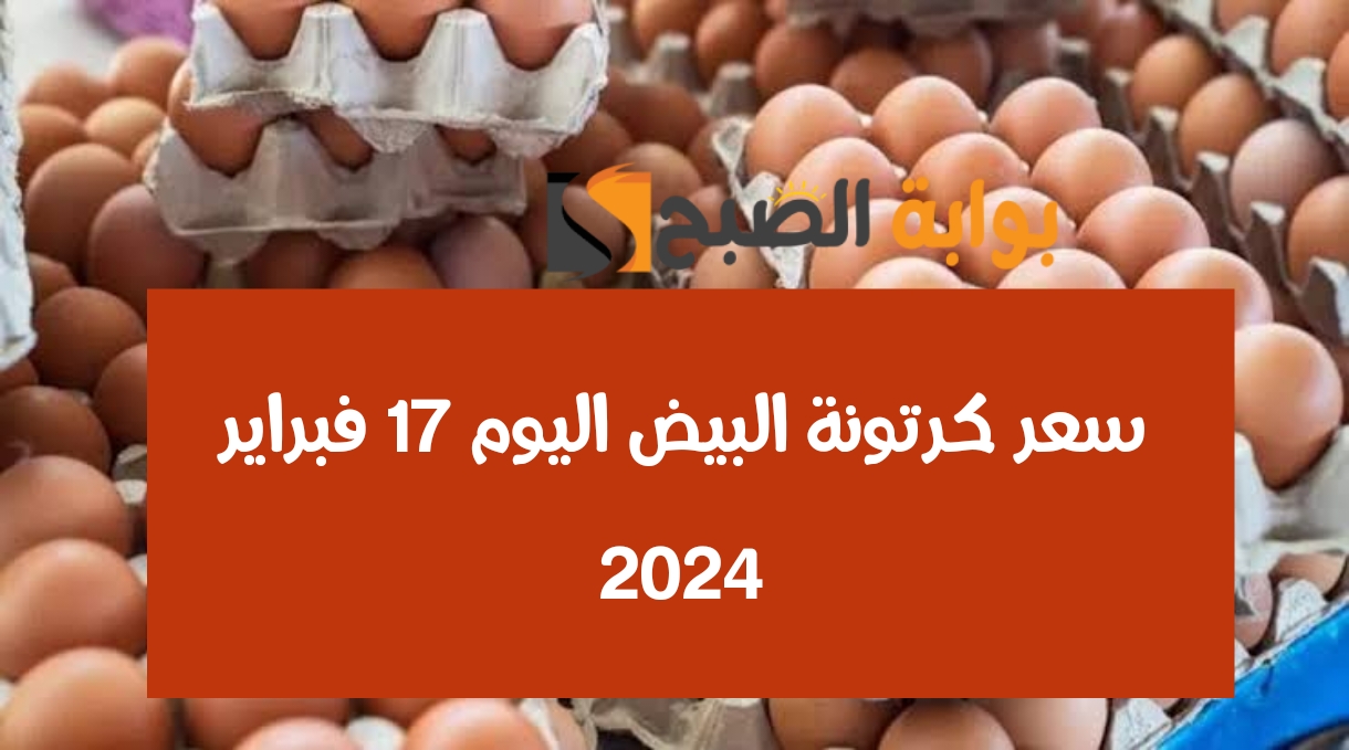 «سعر كرتونة البيض» اليوم السبت 17 فبراير 2024 ومفاجأة في أسعار الدواجن بمناسبة اقتراب شهر رمضان 5 «سعر كرتونة البيض» اليوم السبت 17 فبراير 2024 ومفاجأة في أسعار الدواجن بمناسبة اقتراب شهر رمضان