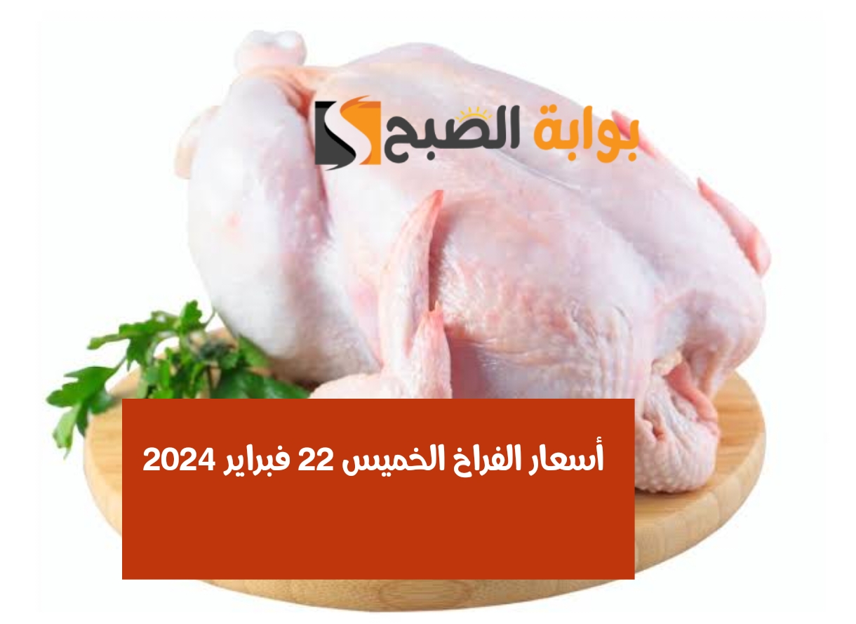 كيلو البانيه بكام.. أسعار الفراخ اليوم الخميس 22 فبراير 2024 في المزارع والأسواق