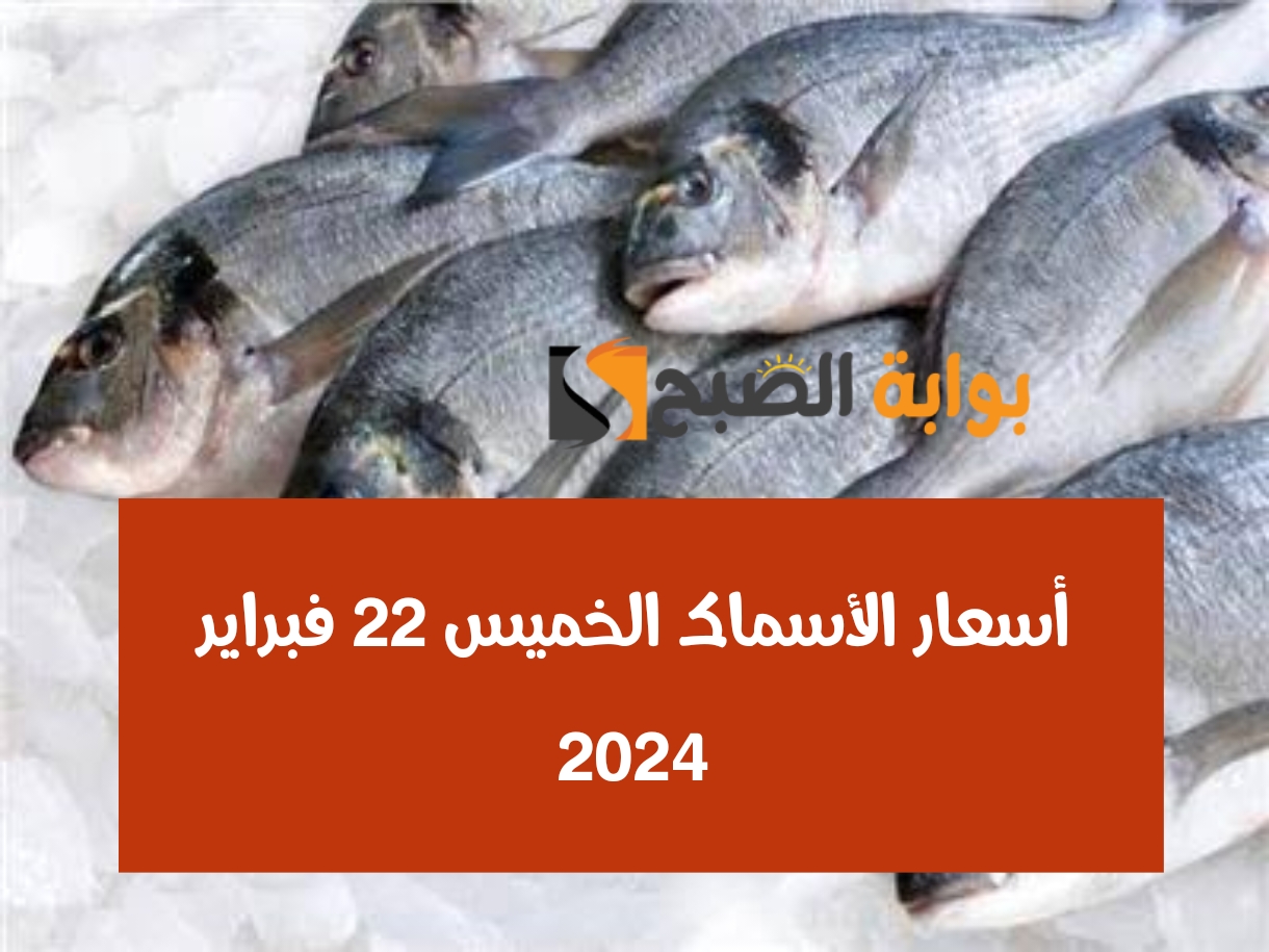 كيلو البلطي بكام.. أسعار الأسماك الخميس 22 فبراير 2024 في الأسواق المصرية 5 كيلو البلطي بكام.. أسعار الأسماك الخميس 22 فبراير 2024 في الأسواق المصرية