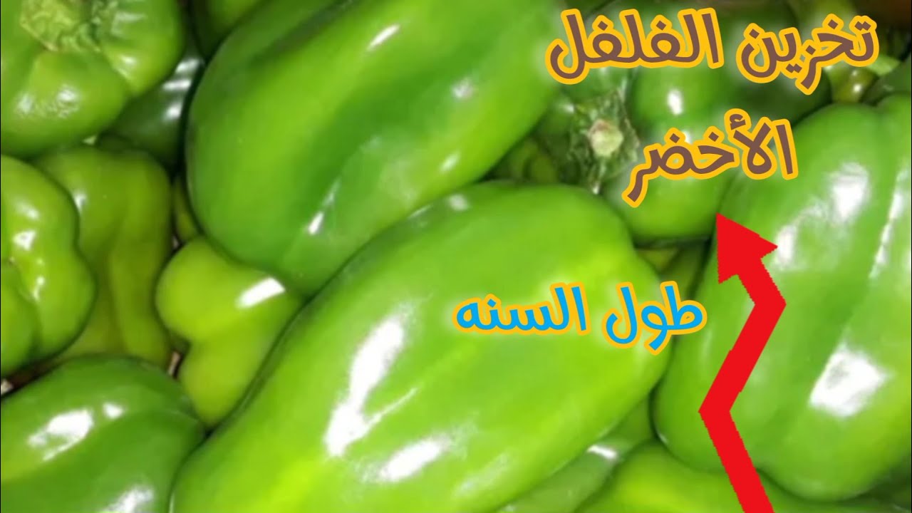 دون أن يفسد.. طريقة تخزين الفلفل الأخضر في الفريزر لفترة طويلة هيفضل طازة وكأنك لسة شرياه 5 دون أن يفسد.. طريقة تخزين الفلفل الأخضر في الفريزر لفترة طويلة هيفضل طازة وكأنك لسة شرياه