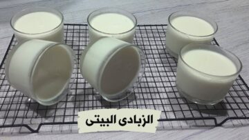 وفري فلوسك واعملي الزبادي الطبيعي بمكونين فقط في البيت بمكونات اقتصادية بسيطة