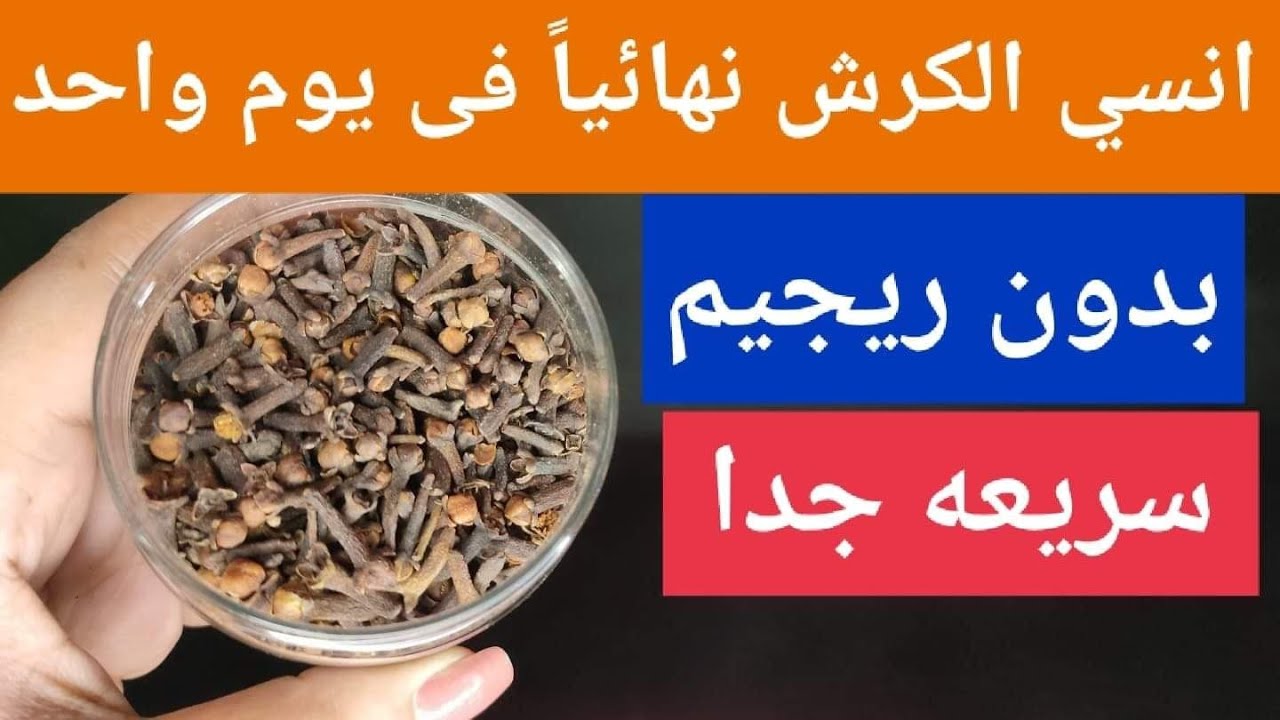 اختراع عجيب من الاخر.. حتي لو الكرش كبير ومدلدل انسي الترهل والدهون للابد واحصلي علي بطن مسطحة نتيجة زي السحر