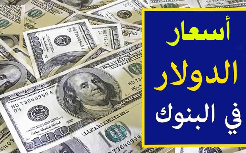 سعر الدولار مقابل الجنيه المصري اليوم الثلاثاء 13/2/2024 في تعاملات البنوك العاملة المصرية 5 سعر الدولار مقابل الجنيه المصري اليوم الثلاثاء 13/2/2024 في تعاملات البنوك العاملة المصرية