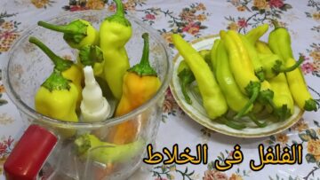 فكرة عبقرية.. حطي الفلفل في الخلاط فكرة جديدة أغلي من الذهب اختراع لكل ست بيت هتعمليها كل يوم لأولادك