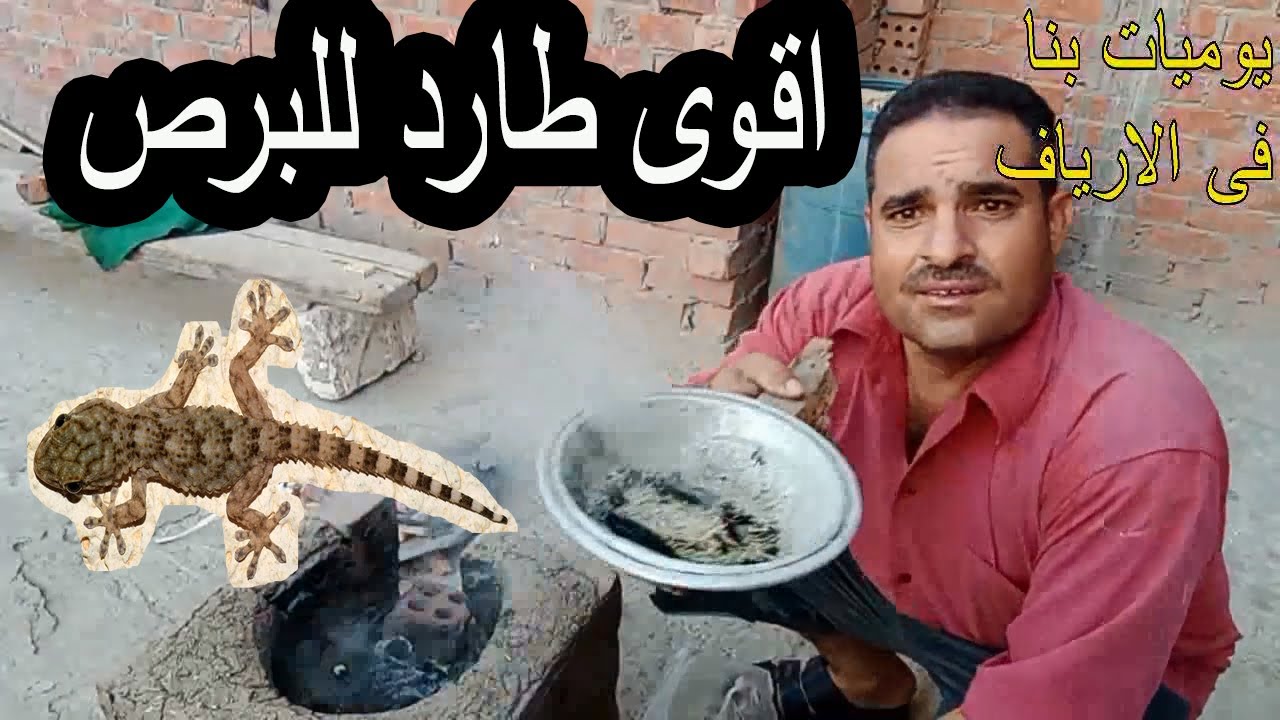 برشة واحدة…مكون سري لطرد البرص والوزغ من المنزل نهائيا بدون لمسه والاقتراب منه هيختفي فوراً بدون رجوع