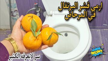 اختراع جهنمي لكل ست.. ارمي قشر البرتقال في الحمام وشاهدي المعجزة كنز هيريحك العمر كلة والنتيجة هتبهرك ندمت اني مجربتهاش من زمان