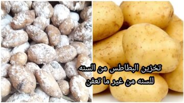 مكون سحري لتخزين البطاطس لرمضان من السنة للسنة بدون  ما تسود ولا تتهري هتفضل طازجة كانك شرياها
