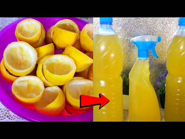 فكرة مدهشة.. قشر الليمون حطيه جوة الزجاجة وانسي انك ترميه تانى من النهارده طريقه متخطرش على بالك 5 فكرة مدهشة.. قشر الليمون حطيه جوة الزجاجة وانسي انك ترميه تانى من النهارده طريقه متخطرش على بالك