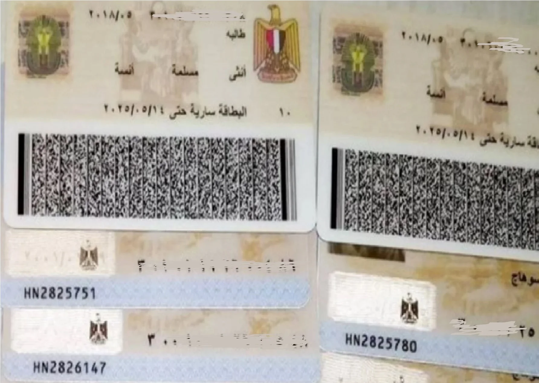 “تخلص من واحدة بسرعة”…حبس وغرامة لمن يحمل أكثر من بطاقة رقم قومي
